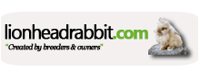 footer-logo