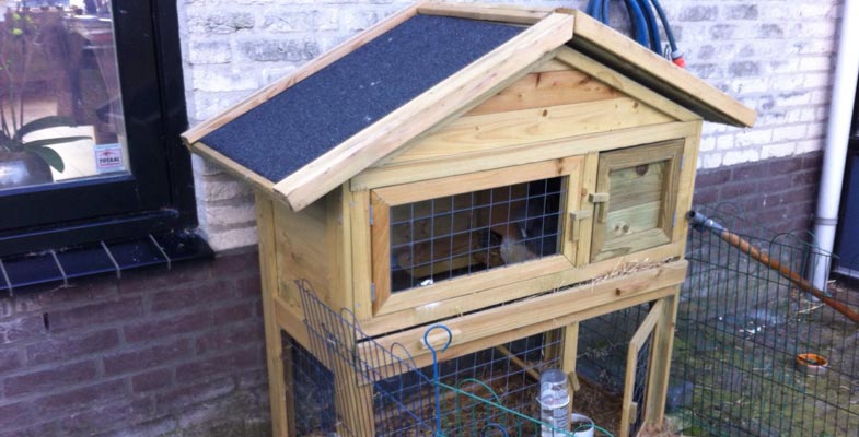 rabbit hutch