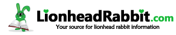 Lionheadrabbit.com